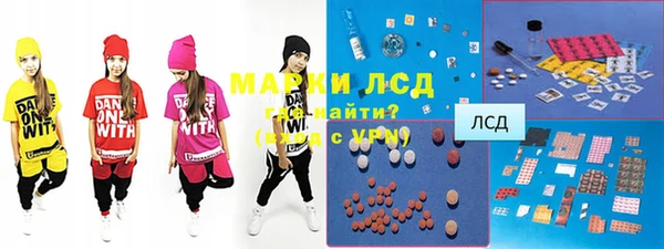 стаф Алзамай