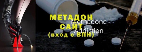 стаф Алзамай