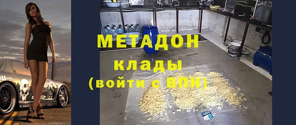 стаф Алзамай