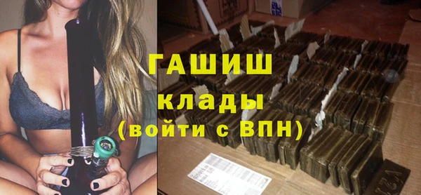 стаф Алзамай