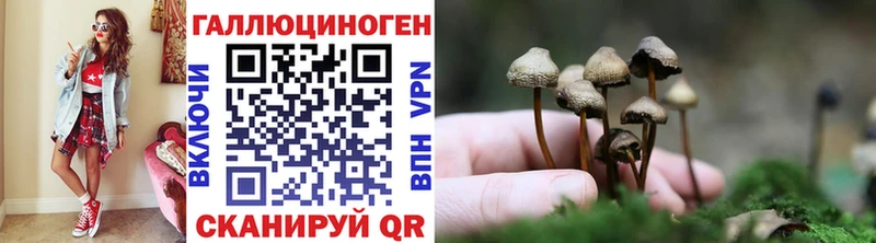 Псилоцибиновые грибы Psilocybine cubensis  omg сайт  Бакал 